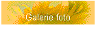 Galerie foto