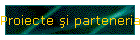 Proiecte şi parteneriate