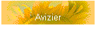Avizier