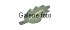 Galerie foto