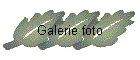 Galerie foto