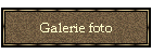 Galerie foto