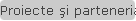 Proiecte şi parteneriate