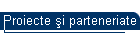 Proiecte şi parteneriate