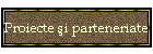 Proiecte şi parteneriate