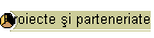 Proiecte şi parteneriate