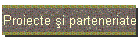 Proiecte i parteneriate