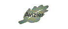 Avizier