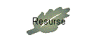 Resurse